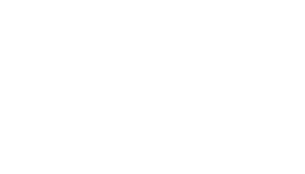 Dale Carnegie